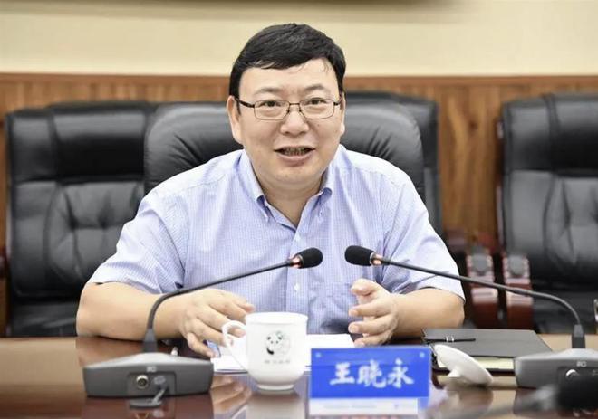 王晓永跨行任民生银行行长