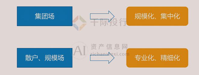 2024年中国生猪养殖行业研究(图6) 2024年中国生猪养殖行业研究(图6)